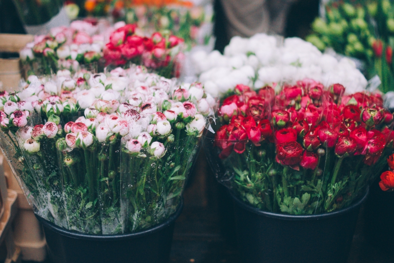 fleuriste-STE ANASTASIE SUR ISSOLE-min_farmers-market-1209712